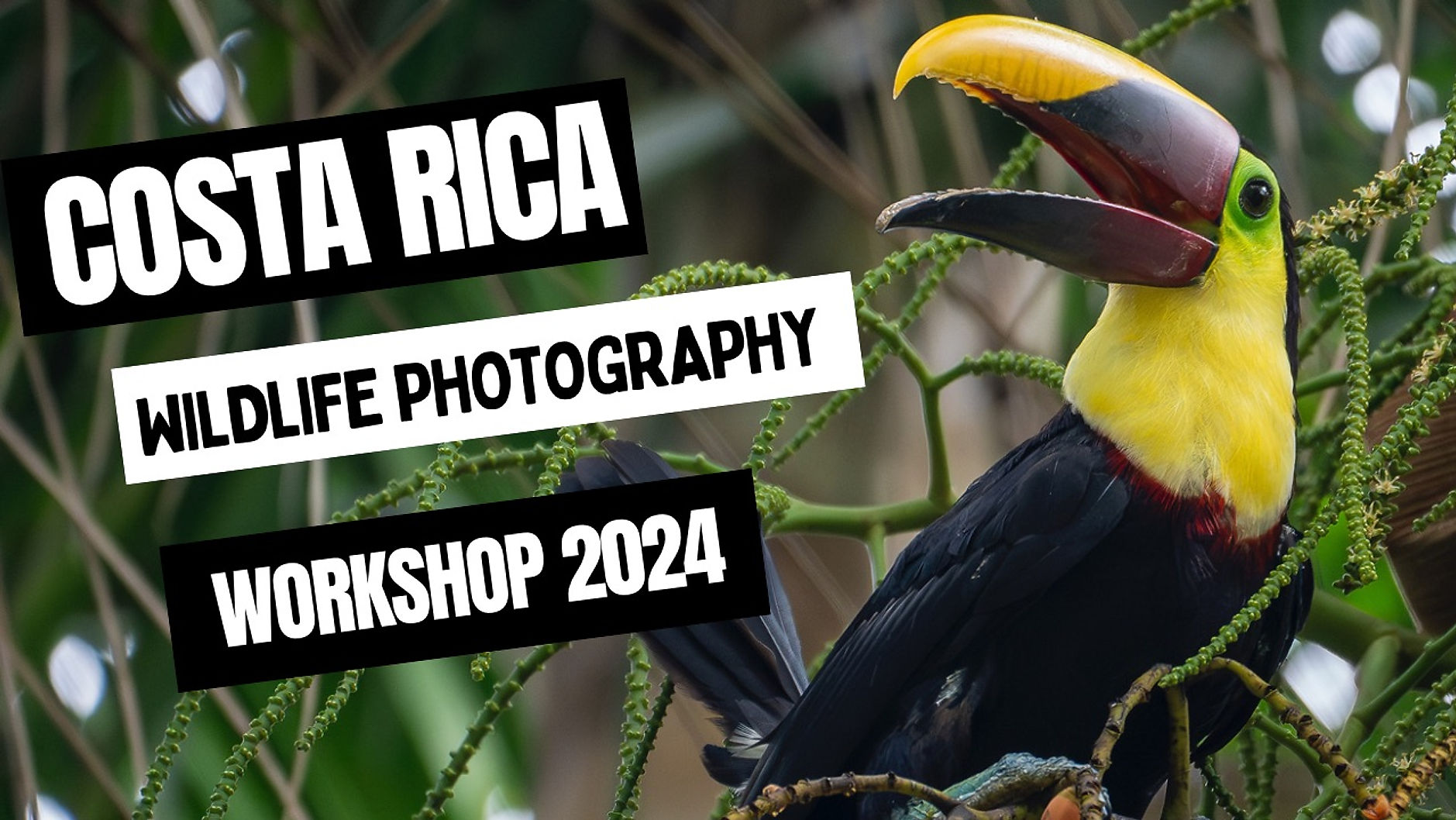 Costa Rica Workshops 2024